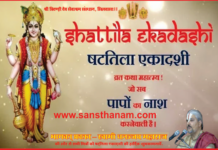 षट्तिला एकादशी व्रत कथा एवं पूजा विधि।। Shat-Tila Ekadashi Vrat