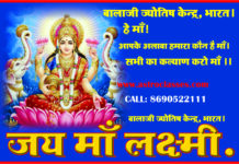 धन का भंडार भरने वाला मोरपंखी का पौधा।। Dhandayak Plants Vastu