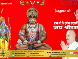 Gharon Ke Fal Ko Kaise Jane