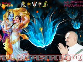 Shri Krishna Chaturvimshati Stotram